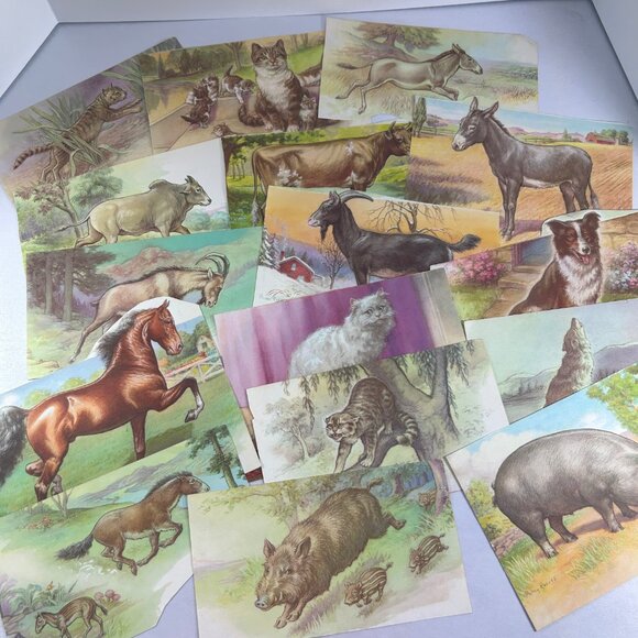 Ephemera Lot Scrapbooking Crafts Junk Journal Animals Nature Whimsical Vtg Pages - Picture 11 of 13